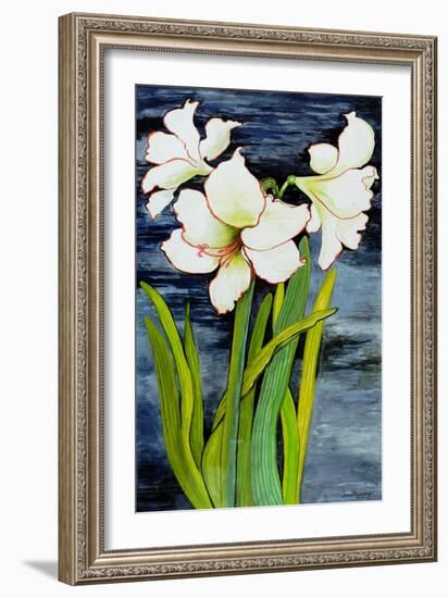 Amaryllis against a night sky-Joan Thewsey-Framed Giclee Print