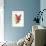 Amaryllis Blooms III-Van Houtteano-Framed Art Print displayed on a wall