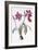 Amaryllis Brasiliensis-Pierre-Joseph Redouté-Framed Giclee Print