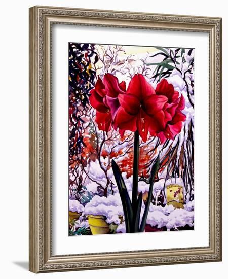 Amaryllis by Snow Window-Christopher Ryland-Framed Giclee Print