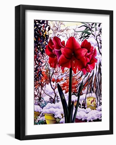 Amaryllis by Snow Window-Christopher Ryland-Framed Giclee Print