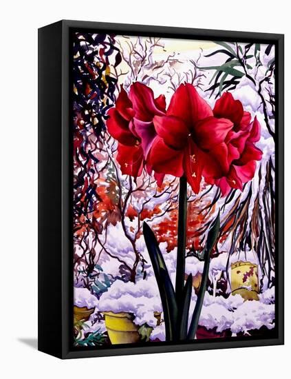 Amaryllis by Snow Window-Christopher Ryland-Framed Premier Image Canvas