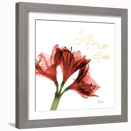 Amaryllis Endless Love-Albert Koetsier-Framed Photo