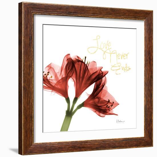 Amaryllis Endless Love-Albert Koetsier-Framed Photo