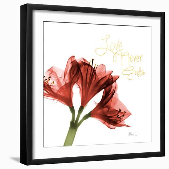 Amaryllis Endless Love-Albert Koetsier-Framed Photo