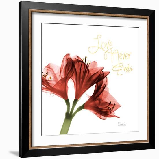 Amaryllis Endless Love-Albert Koetsier-Framed Photo