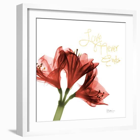 Amaryllis Endless Love-Albert Koetsier-Framed Photo