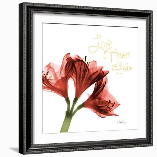 Amaryllis Endless Love-Albert Koetsier-Framed Photo