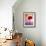 Amaryllis, Flower, Blossom, Still Life, Red, Violet-Axel Killian-Framed Photographic Print displayed on a wall