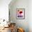 Amaryllis, Flower, Blossom, Still Life, Red, Violet-Axel Killian-Framed Photographic Print displayed on a wall