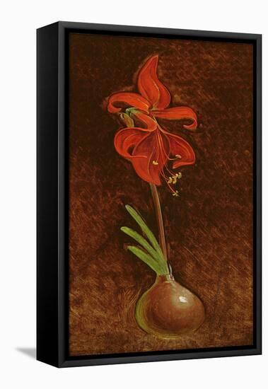 Amaryllis Formosissima, 1808-Philipp Otto Runge-Framed Premier Image Canvas