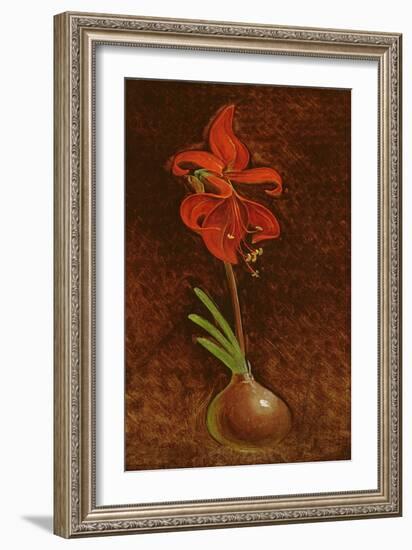 Amaryllis Formosissima, 1808-Philipp Otto Runge-Framed Giclee Print