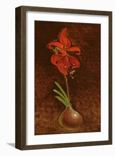 Amaryllis Formosissima, 1808-Philipp Otto Runge-Framed Giclee Print