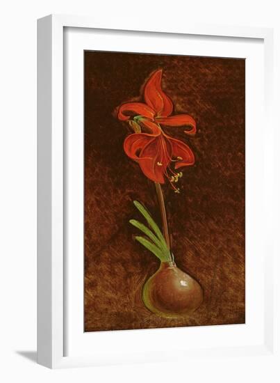 Amaryllis Formosissima, 1808-Philipp Otto Runge-Framed Giclee Print