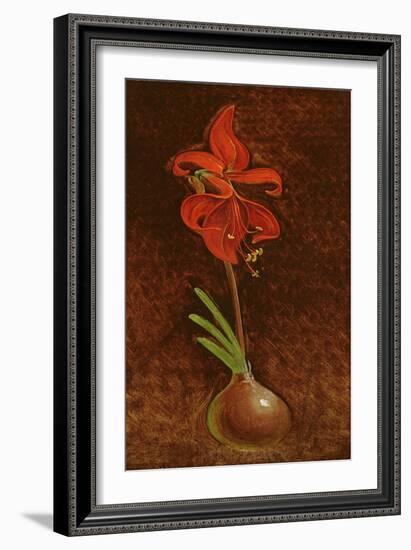 Amaryllis Formosissima, 1808-Philipp Otto Runge-Framed Giclee Print