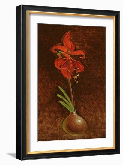 Amaryllis Formosissima, 1808-Philipp Otto Runge-Framed Giclee Print