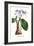 Amaryllis Hyacinthin-Louis Van Houtte-Framed Premium Giclee Print