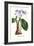 Amaryllis Hyacinthin-Louis Van Houtte-Framed Art Print