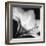 Amaryllis I-Steven N^ Meyers-Framed Art Print