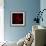 Amaryllis I-Magda Indigo-Framed Photographic Print displayed on a wall