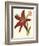 Amaryllis II-Cooke-Framed Premium Giclee Print