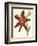 Amaryllis II-Cooke-Framed Premium Giclee Print