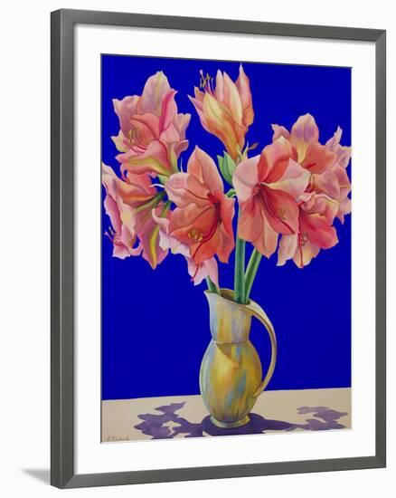 Amaryllis in a Jug, 2007-Christopher Ryland-Framed Giclee Print