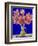 Amaryllis in a Jug, 2007-Christopher Ryland-Framed Giclee Print