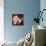 Amaryllis on Red II-Lanie Loreth-Premium Giclee Print displayed on a wall