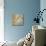 Amaryllis on Soft Blue-Silvia Vassileva-Mounted Art Print displayed on a wall