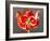 Amaryllis Red-Charles Bowman-Framed Photographic Print