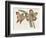 Amaryllis Varietals IV-Ridgeway-Framed Premium Giclee Print