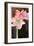 Amaryllis with Brown Background, 2015-John Keeling-Framed Giclee Print