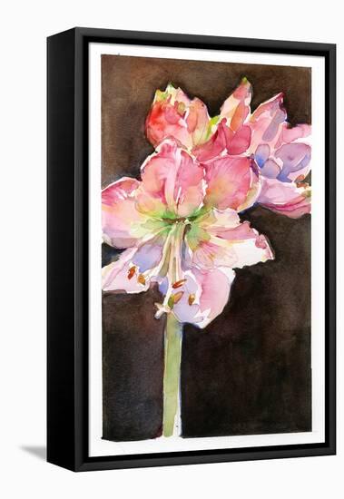 Amaryllis with Brown Background, 2015-John Keeling-Framed Premier Image Canvas