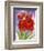 Amaryllis-Jane Edwards-Framed Art Print