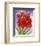 Amaryllis-Jane Edwards-Framed Art Print