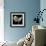 Amaryllis-Michael Harrison-Framed Giclee Print displayed on a wall
