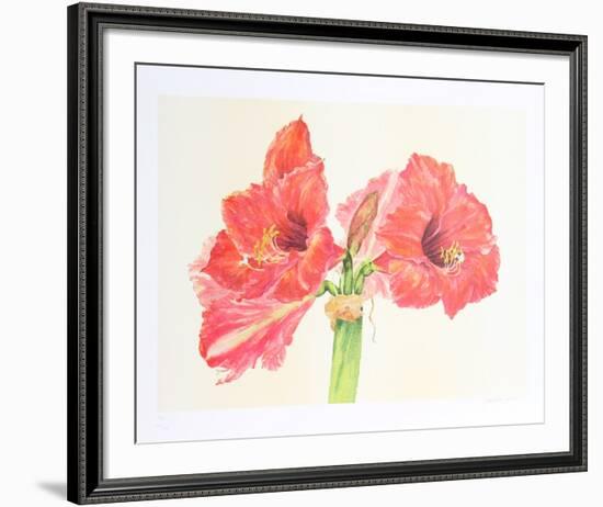 Amaryllis-Carol Ann Bolt-Framed Limited Edition