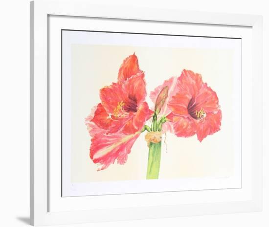 Amaryllis-Carol Ann Bolt-Framed Limited Edition