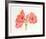 Amaryllis-Carol Ann Bolt-Framed Limited Edition