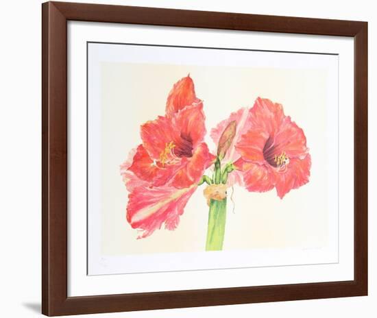 Amaryllis-Carol Ann Bolt-Framed Limited Edition