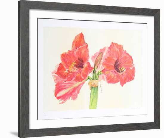 Amaryllis-Carol Ann Bolt-Framed Limited Edition