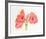 Amaryllis-Carol Ann Bolt-Framed Limited Edition