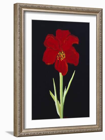 Amaryllis-Soraya Chemaly-Framed Giclee Print