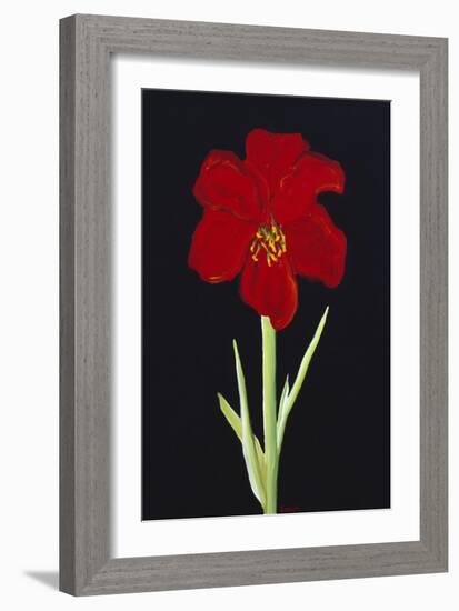 Amaryllis-Soraya Chemaly-Framed Giclee Print