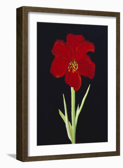 Amaryllis-Soraya Chemaly-Framed Giclee Print