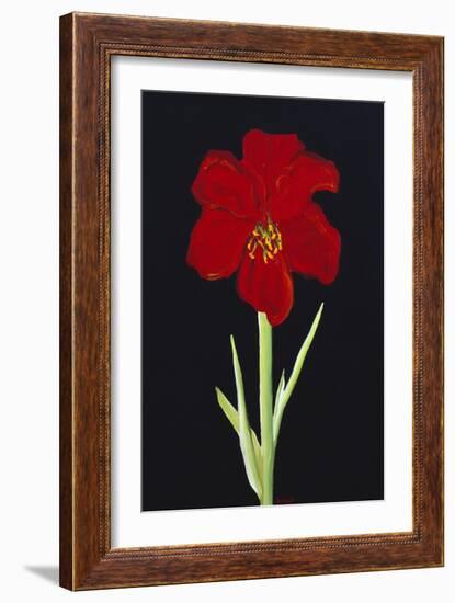 Amaryllis-Soraya Chemaly-Framed Giclee Print