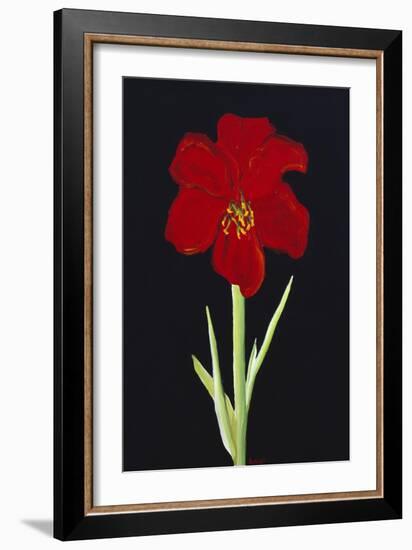 Amaryllis-Soraya Chemaly-Framed Giclee Print