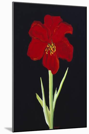 Amaryllis-Soraya Chemaly-Mounted Giclee Print