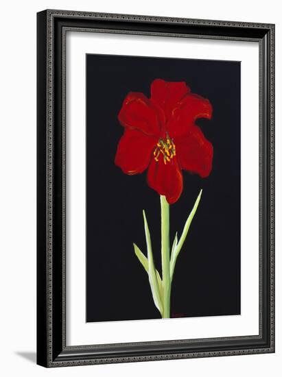 Amaryllis-Soraya Chemaly-Framed Giclee Print